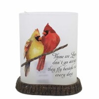 Stony Creek Angel Cardinal Oval Lit Vase Bereavement Sympathy Loss Cbc2271 Love