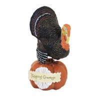 Dee Foust-Harvey Gobbler Greetings Polyresin Thanksgiving Turkey 81125