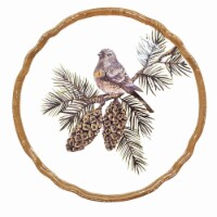 Tabletop Woodland Critter Plate Ceramic Cocktail Pinecones Th00655 Brown