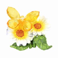 Crystal Expressions 2.25 Butterfly Figurine Summer Flower Insect