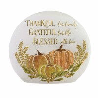 Stony Creek Beautiful Bounty Pre-Lit Orb Autumn Thanksgiving Klf2261 Thankful