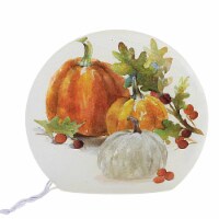 Stony Creek Pumpkins Small Prelit Round Orb Fall Thanksgiving Sdf1261 Leaves