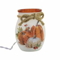 Stony Creek Pumpkins Pre-Lit Small Jar Glass Fall Thanksgiving Sdf1280 Berries