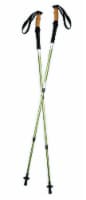 North Pak Trekking Pole Set Perspective: Main
