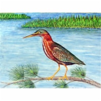 Betsy Drake PM958 Green Heron II Place Mat - Set of 4
