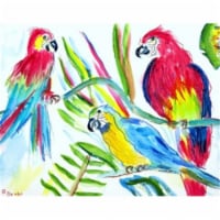 Betsy Drake DM392G Three Parrots Door Mat, Large