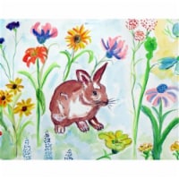 Betsy Drake DM428 Whiskers Door Mat, Small
