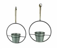 Rustic Metal Hoop Indoor Outdoor Hanging Planters Set of 2