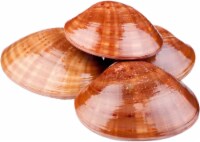Harris Teeter Wild Caught Mahogany Clams