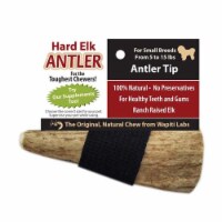 4  Tip Wapiti Labs Elk Antler Chew - For Small to Medium Size Dogs