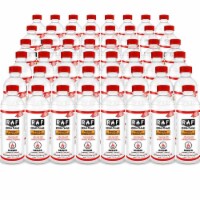 Regal Flame Prime Ventless Bio Ethanol Fireplace Fuel - 48 Quarts
