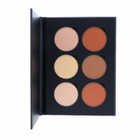 Anastasia Beverly Hills Contour Powder Kit  Light to Medium 0.66 oz
