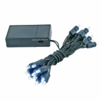 20 Light LED Battery Christmas Mini Light Set, Pure White, Green Wire, 8' Long