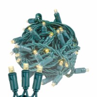 100 Light LED Christmas Mini Light Set, Patio Light, Warm White, Green Wire, 34’ Perspective: Main