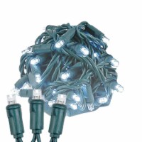 100 Light LED Christmas Mini Light Set, Patio Light, Pure White, Green Wire, 34’