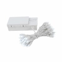 50 Light LED Battery Christmas Mini Light Set, Pure White, White Wire, 18' Long