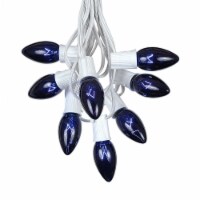 25 Foot C9 Twinkle Blue Christmas Light Set, Hanging String Lights, White Wire