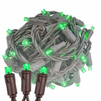 50 Light LED Christmas Mini Light Set, Patio Lights, Green, Brown Wire, 25’
