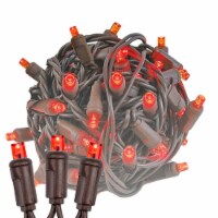 100 Light LED Christmas Mini Light Set, Patio Light, Red, Brown Wire, 34’