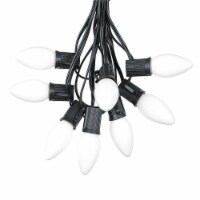 25 Foot C9 Ceramic White Christmas Light Set, Hanging String Lights, Black Wire