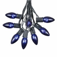 25 Foot C9 Twinkle Blue Christmas Light Set, Hanging String Lights, Black Wire