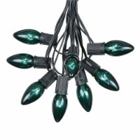 25 Foot C9 Twinkle Green Christmas Light Set, Hanging String Lights, Black Wire
