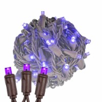 50 Light LED Christmas Mini Light Set, Patio Lights, Purple, Brown Wire, 11’