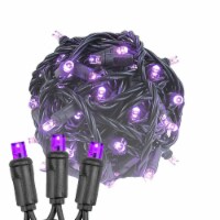 50 Light LED Christmas Mini Light Set, Patio Lights, Purple, Black Wire, 11’