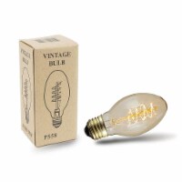 PS58 Clear Vintage Filament Edison Light Bulb, E26 Medium Base, 60 Watt, 1 Pack