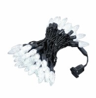 70 Light C6 LED Christmas Mini Light Set, Pure White, Black Wire, 24 Feet
