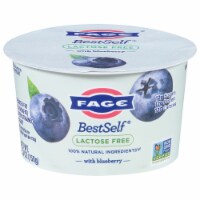 FAGE® BestSelf® Lactose Free With Blueberry Perspective: Main