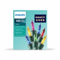 Philips 100 ct Mini Incandescent Lights Remains Lit - Multi Christmas Holiday Décor Perspective: Main
