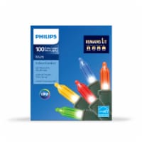Philips LED Multi Color Extra Large Remains Lit Indoor / Outdoor Mini Christmas Lights
