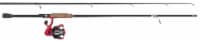 Matzuo 6 ft 2-pc Rod and Size 30 Reel Perspective: Main