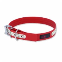 Collar - Play Glow Buckle, 3/4" Wide - Fits neck 12.5" to 15.5" - Red