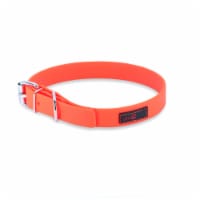 Collar - Play Regular Buckle, 1" Wide - Fits neck 18" to 22" - Orange