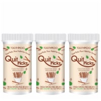 Quit Picks Toothpicks 300ct Cinnamint 3-Pack Quit Smoking Aid Freshes Breathe