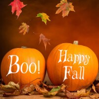 VWAQ Happy Fall & Boo! Pumpkin Holiday & Seasonal Decor