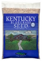 Mountain View Seeds Kentucky Bluegrass Seed Perspective: Main