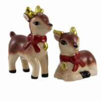 Tabletop Deer Salt & Pepper Set Ceramic Christmas Mx177530