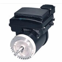 Waterco EMM-AVSJ15 1.5 HP, 230V C-Flange Variable Speed 1 Phase Motor