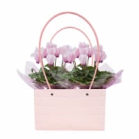 Mother's Day Fresh Blooming Plant in Purse Container Perspective: Main