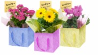 Blooming Thank You Gift Box - Assorted Perspective: Main