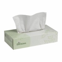 Envision 2-Ply Facial Tissue Flat Box 100 Count, 1 Flat Box