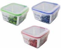 VM International Snap & Close Food Storage Container - Assorted Perspective: Main