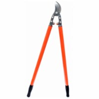 Zenport MV190-12PK Professional Orchard & Landscape Tree- Box of 12
