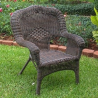 Camelback Resin Wicker Patio Chair - Antique Pecan