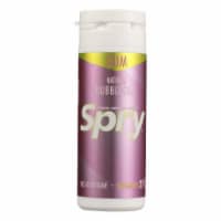 Spry - Chewing Gum Bubble - Case Of 6 - 27 Ct