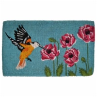 Imports Decor 667TCM Coir Doormat, Hummingbird