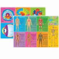 Ashley Productions Smart Poly 12  x 17  Human Body Systems & Anatomy Learning Mat